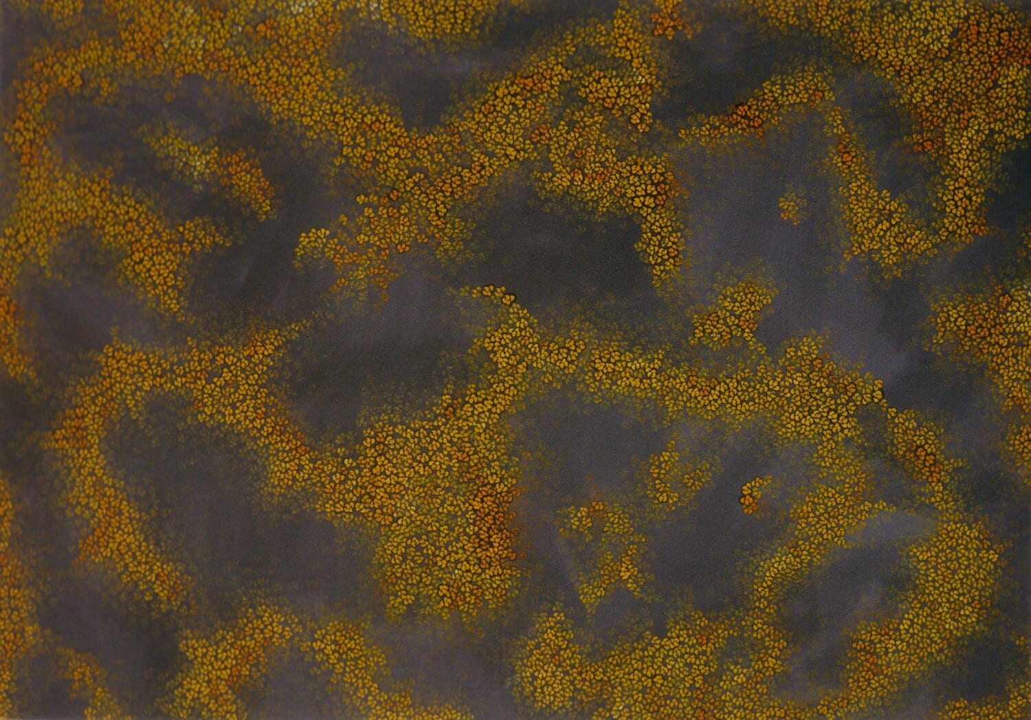 Thousands of small seed-shaped marks repeated across the canvas. afactum, 1997, Acrylic, oil on canvas, 135 x 190 cm