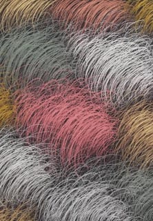 Rounded tufts of fine hatched strokes. afactum