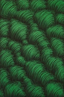 Rounded tufts of fine hatched strokes. afactum